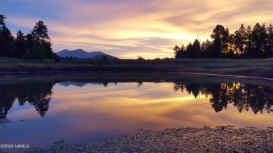 (private lake, pond, creek) Acreage For Sale in Flagstaff Arizona