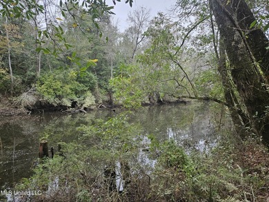 Discover a rare riverfront offering on the scenic Biloxi River - photo 2