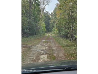 Discover a rare riverfront offering on the scenic Biloxi River - photo 3