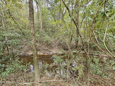 Discover a rare riverfront offering on the scenic Biloxi River - photo 9