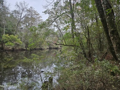 Discover a rare riverfront offering on the scenic Biloxi River - photo 10