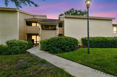 Lake Condo For Sale in Tampa, Florida