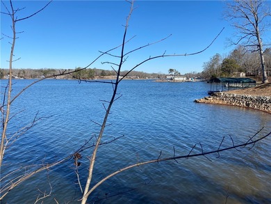 Lake Secession Lot For Sale in Abbeville South Carolina