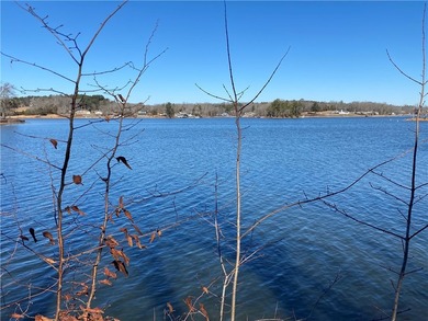 Build your dream home on this beautiful 0.39-acre waterfront lot - photo 3