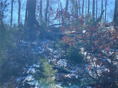 Build your dream home on this beautiful 0.39-acre waterfront lot - photo 4