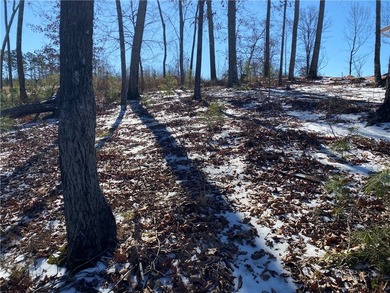 Build your dream home on this beautiful 0.39-acre waterfront lot - photo 6