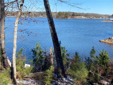 Build your dream home on this beautiful 0.39-acre waterfront lot - photo 7