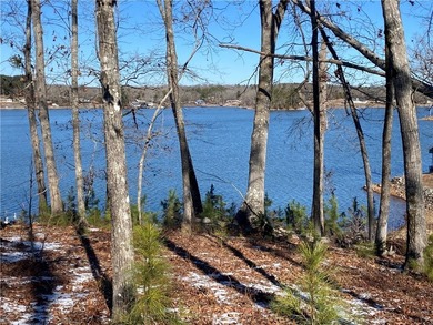 Build your dream home on this beautiful 0.39-acre waterfront lot - photo 10