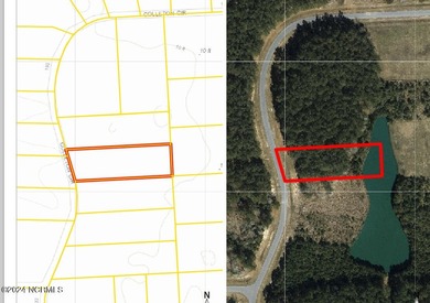 Lot # 172 is a beautiful, partially cleared lot that backs the - photo 4