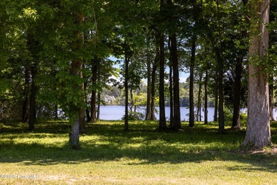 Lot # 172 is a beautiful, partially cleared lot that backs the - photo 7