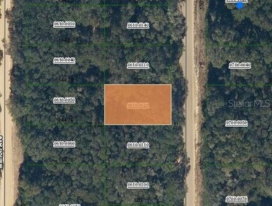 Lake Grandin Lot For Sale in Interlachen Florida