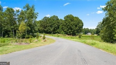 This inspiring 7.10-acre interior estate lot sits within an - photo 9