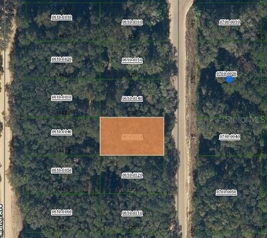 Lake Grandin Lot For Sale in Interlachen Florida