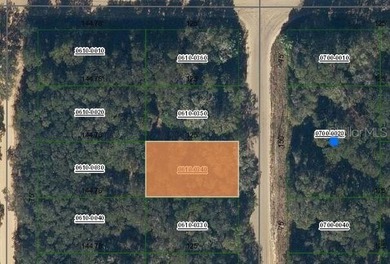 Lake Grandin Lot For Sale in Interlachen Florida