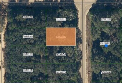 Lake Grandin Lot For Sale in Interlachen Florida