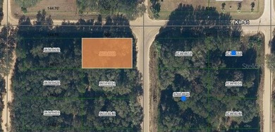 Lake Grandin Lot For Sale in Interlachen Florida