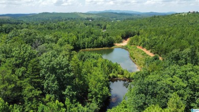 Lake Acreage For Sale in Piedmont, Alabama