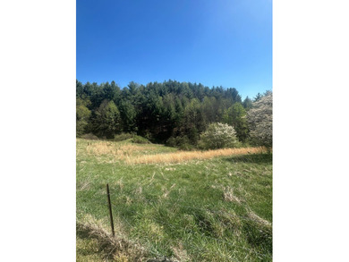Cute Cottage on 4.59 ac with tons of potential for the buyer - photo 13
