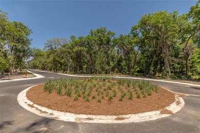 Welcome to The Canopy, a brand-new 25 lot development on - photo 28