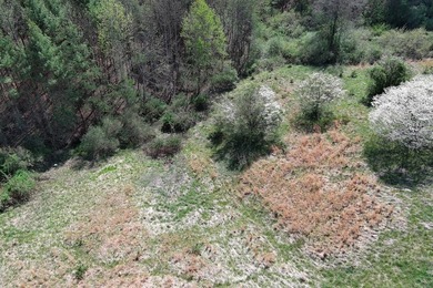Cute Cottage on 4.59 ac with tons of potential for the buyer - photo 29