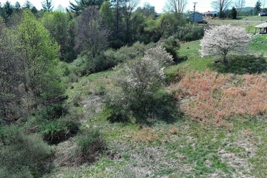 Cute Cottage on 4.59 ac with tons of potential for the buyer - photo 30