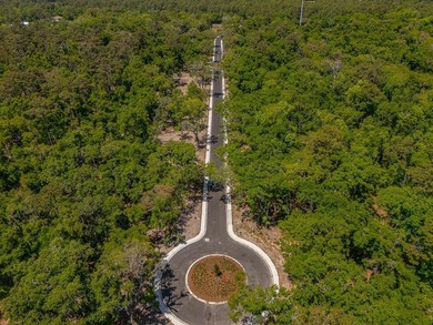 Welcome to The Canopy, a brand-new 25 lot development on - photo 31