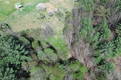 Cute Cottage on 4.59 ac with tons of potential for the buyer - photo 31