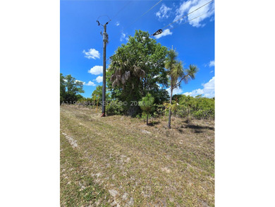 Beautiful residential lot featuring 0.24 acres (10,375 sqft) - photo 4