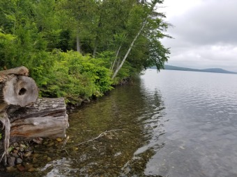 Pleasant Lake - Aroostook County Lot For Sale in Island Falls Maine