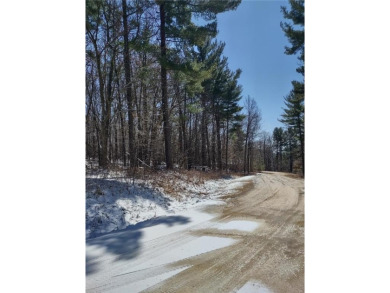 Lake Lot For Sale in Eau Galle, Wisconsin