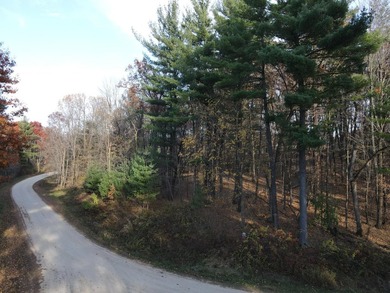 Set in the Majestic Woods development, this gorgeous heavily - photo 5