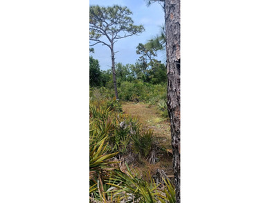 Embrace the tranquility of country living with this 1.35-acre - photo 7