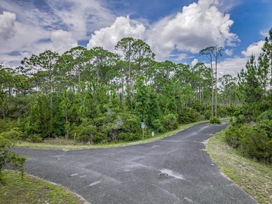 1 acre lot in Refuge at Panacea. Corner of Frogs Beckon & - photo 3