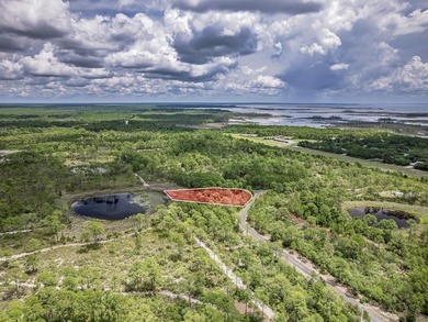 1 acre lot in Refuge at Panacea. Corner of Frogs Beckon & - photo 6