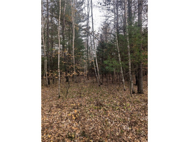Great wooded 1/2+ Acre lot on the East side of Lake Holcombe - photo 3