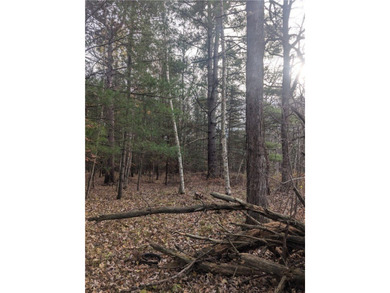 Great wooded 1/2+ Acre lot on the East side of Lake Holcombe - photo 4