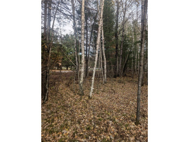 Great wooded 1/2+ Acre lot on the East side of Lake Holcombe - photo 5