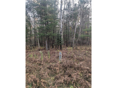 Great wooded 1/2+ Acre lot on the East side of Lake Holcombe - photo 6