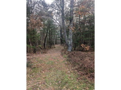 Great wooded 1/2+ Acre lot on the East side of Lake Holcombe - photo 7