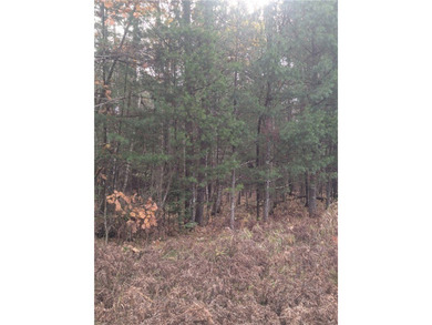 Great wooded 1/2+ Acre lot on the East side of Lake Holcombe - photo 8