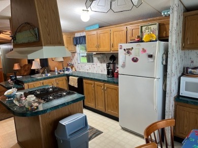 14x66 Manufactured Home
1996 Skyline-Spring Elite - photo 7