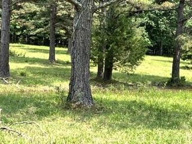 (private lake, pond, creek) Acreage For Sale in Fremont Missouri