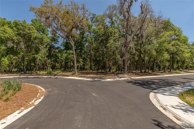 Welcome to The Canopy, a brand-new 25 lot development on - photo 27
