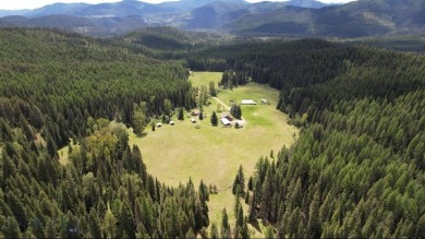 Lake Home For Sale in Saint Regis, Montana