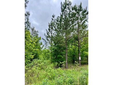 Broken Bow Lake Lot For Sale in Broken Bow Oklahoma