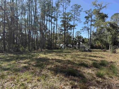 Take advantage of this partially cleared lot for sale with over - photo 3
