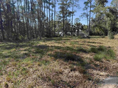 Take advantage of this partially cleared lot for sale with over - photo 8