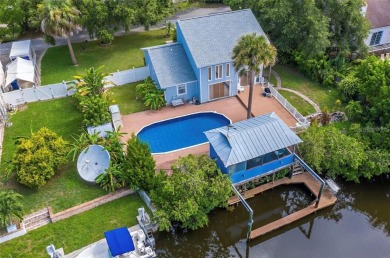 (private lake, pond, creek) Home For Sale in Palm Harbor Florida