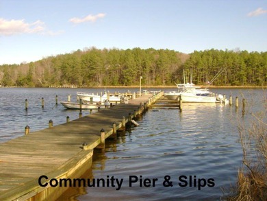 Nice wooded lot with limited view of Flyway Lake. Numerous - photo 4
