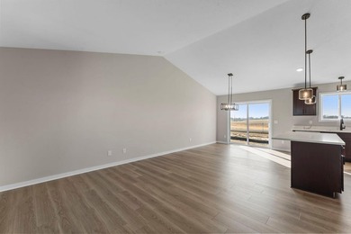This brand new 4 bedroom, 3 bathroom, 4-car garage home features - photo 11